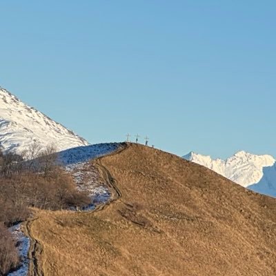 etiennecol's profile picture. $DEFT $BTQ $VTYX