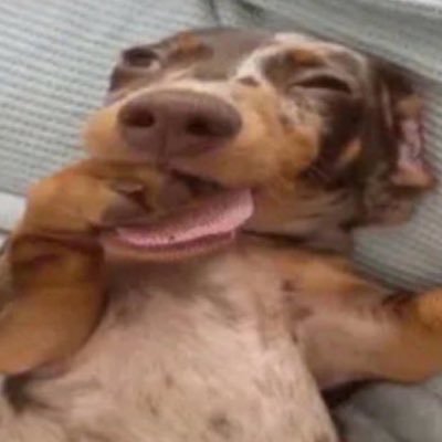 mariarceu's profile picture. 