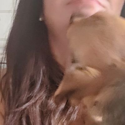 Sinolodigo2's profile picture. 