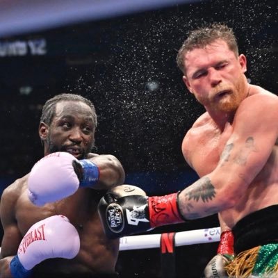 P U L S E - X Profile