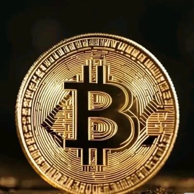 AlexBTCinvestor's profile picture. Crypto职业投资人.独特的眼光.