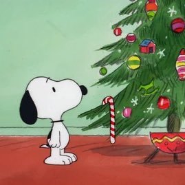 cinderlenin's profile picture. 27 • en/zh/pt-br • 📚🧶🖼️👩🏽‍💻