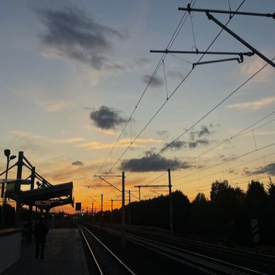 Nilsutrz_'s profile picture. 