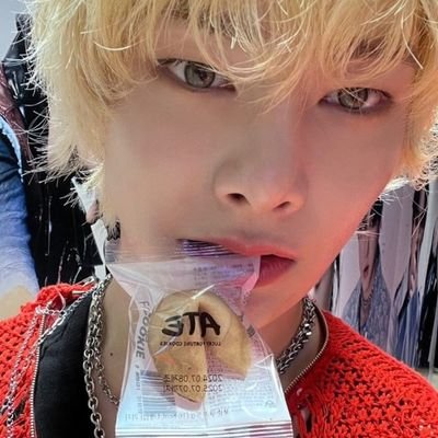 quokkainas's profile picture. beabadoobee . ❤︎