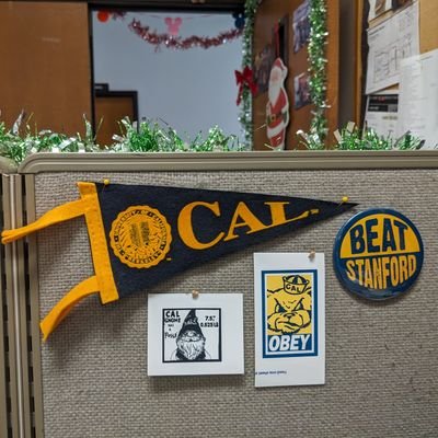 bnosilagm's profile picture. 