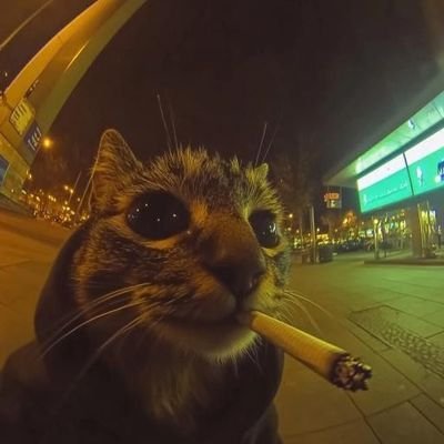 MTHenriquexxx's profile picture. Dou Minha Opinião sobre Tudo.