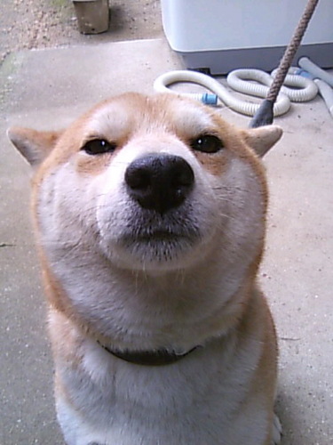 aka_gane's profile picture. 