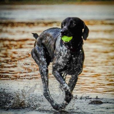 MacsPops34's profile picture. 