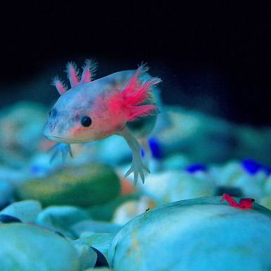 MartinezMa79769's profile picture. 