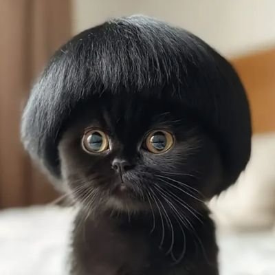 AprilTaurus2304's profile picture. #BJYZSZD 💚❤️ #Apo555 #Lisa #LeiPeng99 ⚡🐟 สายรีทวีต