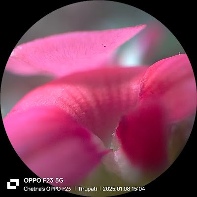 ChetnaReddy2005's profile picture. 