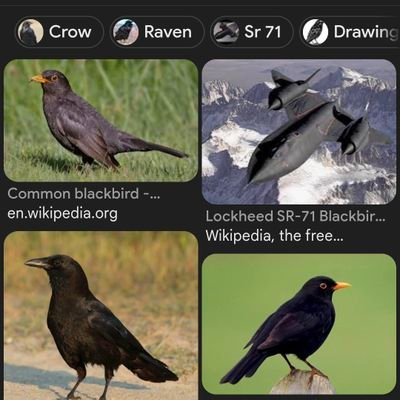 tanktoptoeknee's profile picture. 4 entertainment purposes only - fictional book. {{|}}

NOTHING LEFT