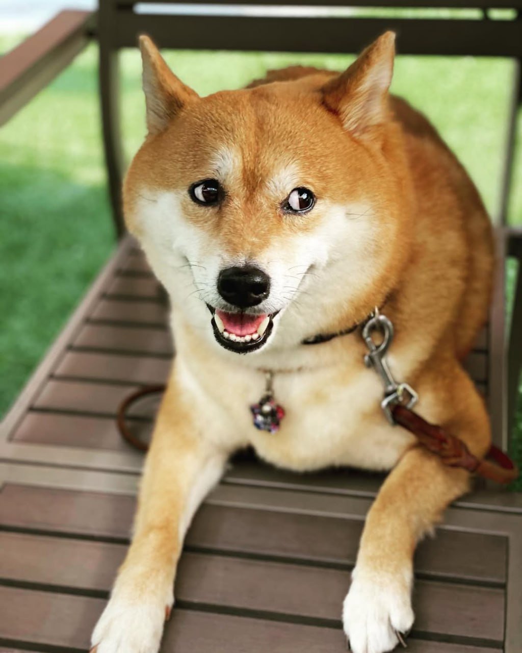 wlof7eg7dn591's profile picture. 