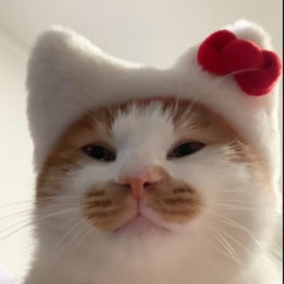 cmsrpn's profile picture. ♡ ┄❛ ᴊᴏꜱꜱɢᴀᴡɪɴ x ɢᴇᴍɪɴɪꜰᴏᴜʀᴛʜ( ᴾᵉʳˢᵒⁿᵃˡ ᵃᶜᶜᵒᵘⁿᵗ) ——— #รีวิวพคม