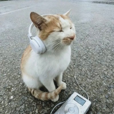 mandalinalikor's profile picture. 