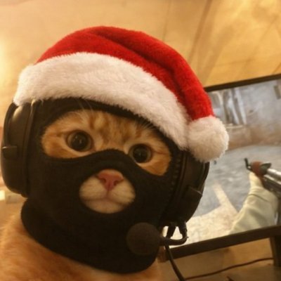 ana_alfathin's profile picture. 