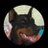 dobie_gang's profile image