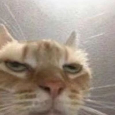 mmemeacrl's profile picture. 20↑ : 방탄소년단 - km ; haikyuu! bakt , 🏐 - 🇦🇷🇫🇷 , 🧭☂️ สิบทิศฉัตรทอง (non-reverse) ; multiiiifandom