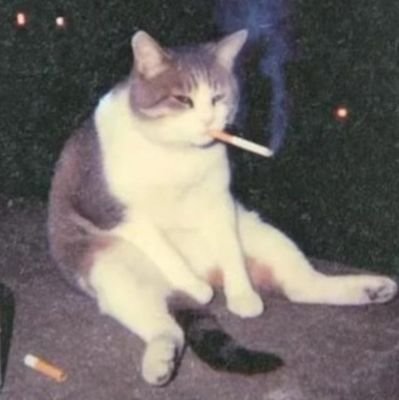 aj_levi's profile picture. 