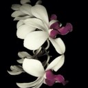 Laura Featherston - @laura12feather - Twitter