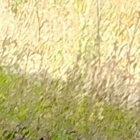 BaitsJosh22836's profile picture. Best provider of baits and bait related services