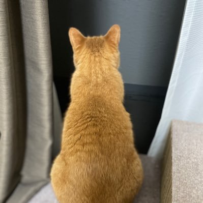 mucciy_40's profile picture. PW；1234 ご自由にどうぞ