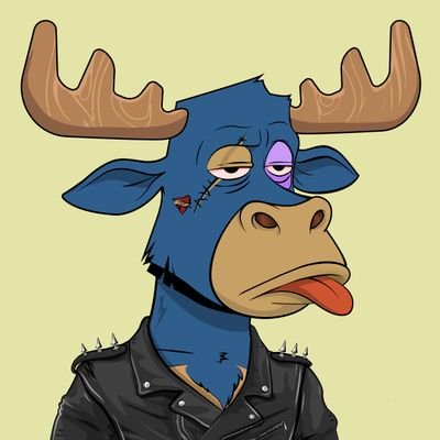 NFTS50_nfts's profile picture. Team:  @LazyBullClub  | CM @SloppyApeYC