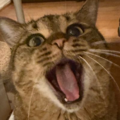 haesam4242's profile picture. 