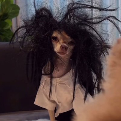 virqquevedo_14's profile picture. lo simple promete éxito✨