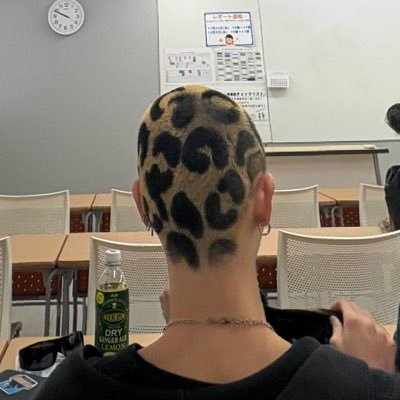 llmeeq's profile picture. 