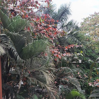 ANakshane19424's profile picture. 