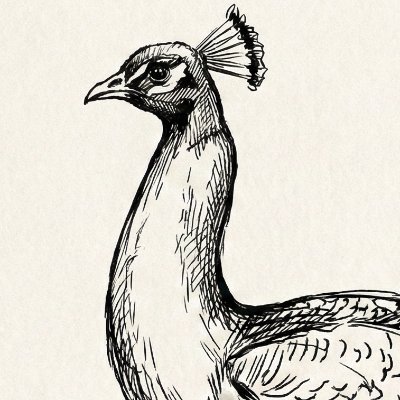 peacocknote's profile picture. 趣味で思いついた事等をnoteで発信しています。