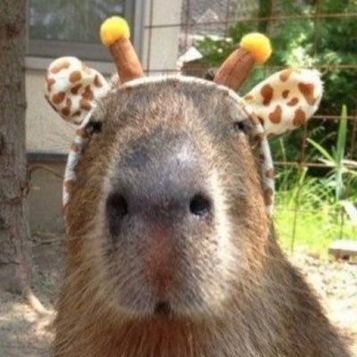 Scott_Marlett's profile picture. Fiat miner by day, investment gambling by night…