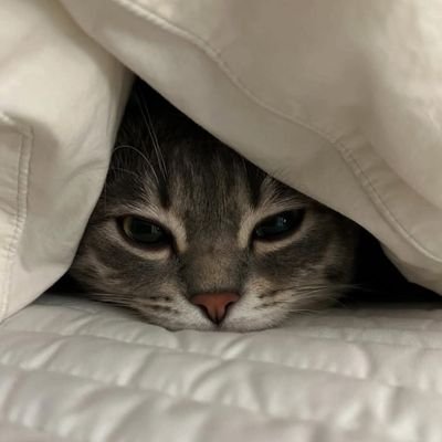 2Plus81990's profile picture. 