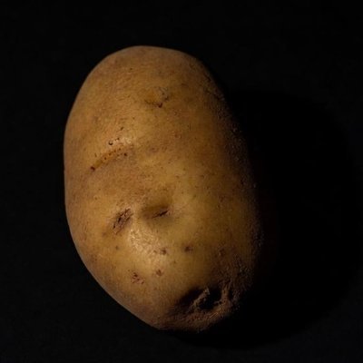 screen_potato's profile picture. 