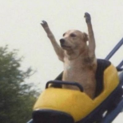 josecarlossevil's profile picture. We must be better.