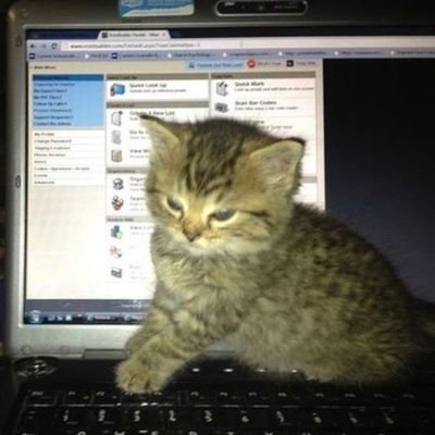 SalimRootsec's profile picture. Cybersecurity & 0xDF | 0xIR | Exploit Developer
 | Stock Trader | Algerian roots , TG: @x0NullTrace
 #0x0NullTrace