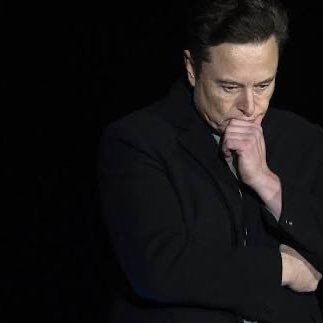 11_elonmus's profile picture. 🚀Tesla 🚘