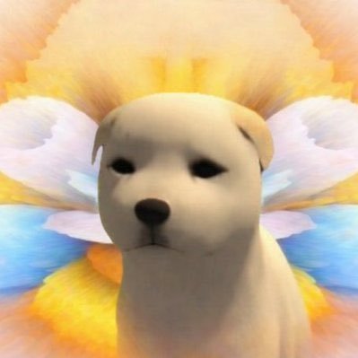 PumpaMeta_'s profile picture. Understand lore and you will be successful / HTTPS 7sGdNQSvUGpahh6qyXB3g5gsdK9FAzZM299Ky CXspump Risk what you can lose, protect what you can't replace