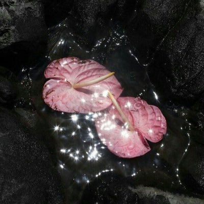 Elurea7's profile picture. 