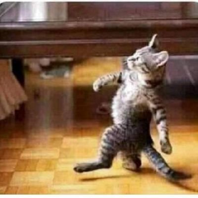 DanielNiwa18's profile picture. I'm the global representative of all the sons of peasants.