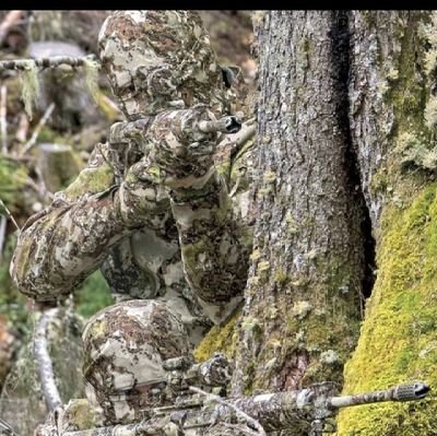 mosesgodwin204's profile picture. 