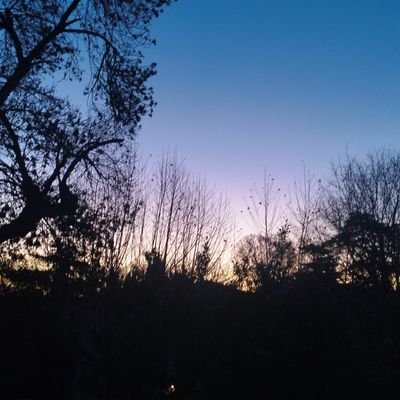 Heloise1970's profile picture. 