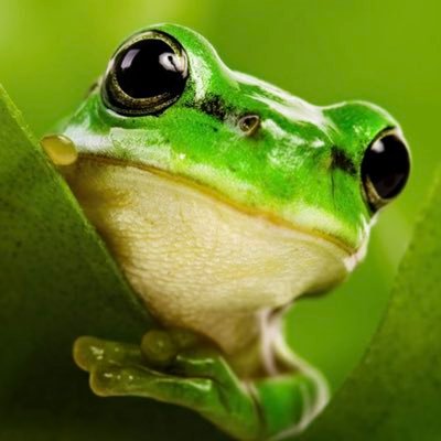 ipodtouch3's profile picture. 