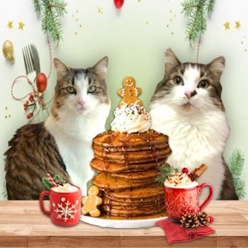 🌈Coop, 🌈Willow, Smokey & Mummy Maria 💔Squirt Profile