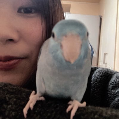 Nnimosimaihito's profile picture. 料理投稿/お勉強投稿/ぼやき投稿 家事をあまりしない旦那との生活。家事もあるけど仕事でやりたいこともある。日常をぽつぽつ投稿してますʕʘ‿ʘʔ