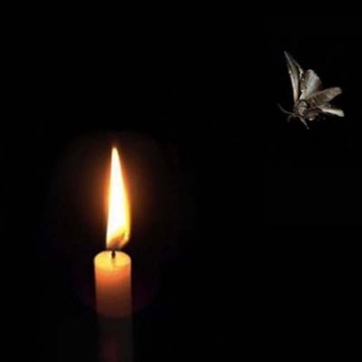 e_ghannadian's profile picture. Self taught & Physical artist ✨#ghannadianart✨https://t.co/39gQh3cj7E ✨ https://t.co/ppaeCWCmXN