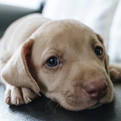 anh_binh62271's profile picture. 