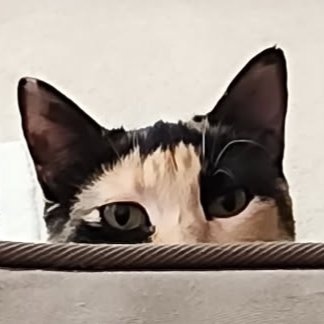 TheWanderBroad's profile picture. Travel, writing, photography. IG/Pinterest: TheWanderBroad ✈️📷 30 countries & def still counting! #lovewins she/her 🌈 #travelwriting