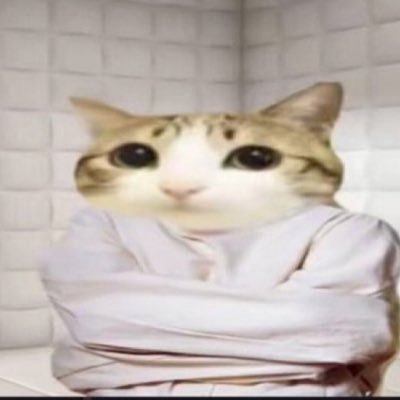 labubucrunk's profile picture. 